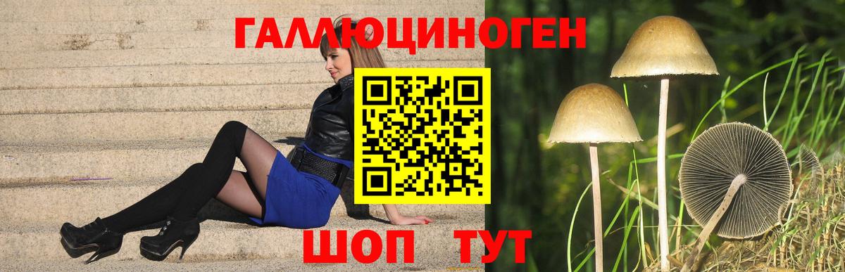 Избербаш  Галлюциногенные грибы Magic Shrooms  Вход с VPN 