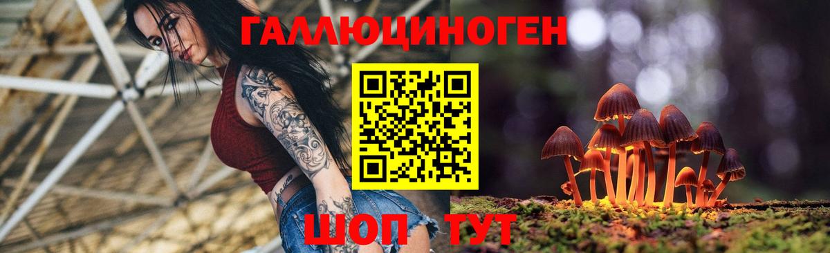 Галлюциногенные грибы мухоморы Избербаш